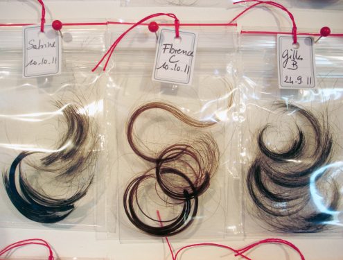 Sofie Vinet - Madame Filosa - Les Mèches