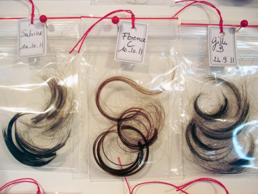 Sofie Vinet - Madame Filosa - Les Mèches