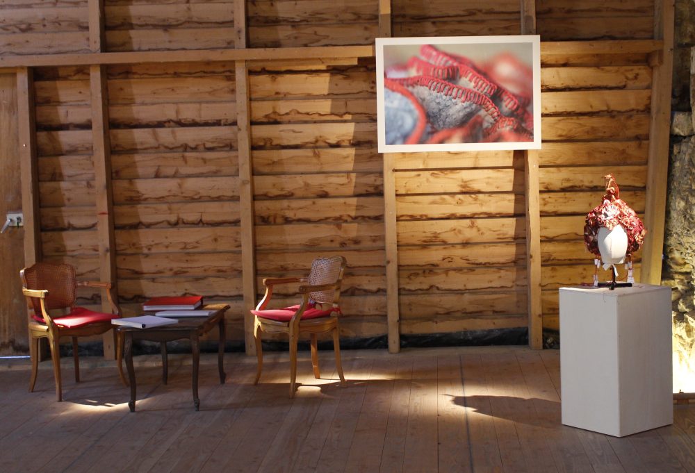 Sofie Vinet - Madame Filosa - Les Fleurs Brodées - exposition Nozay (44)