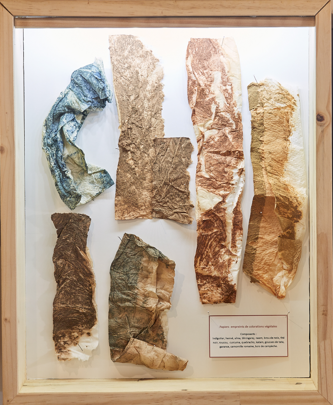 Sofie Vinet - Madame Filosa - vitrine Les Papiers Oxydés