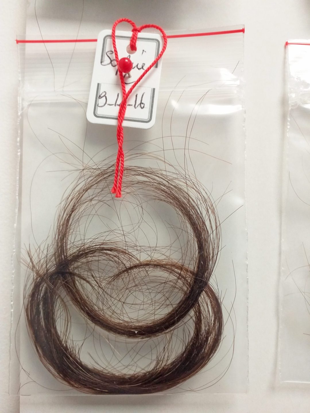 Sofie Vinet - Madame Filosa - Les Mèches - mèche