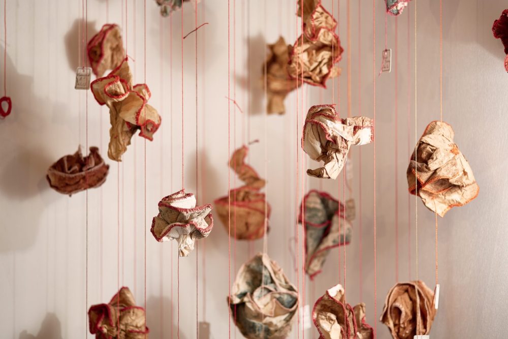 Sofie Vinet - Madame Filosa - Les Fleurs Suspendues - exposition Niort (79)