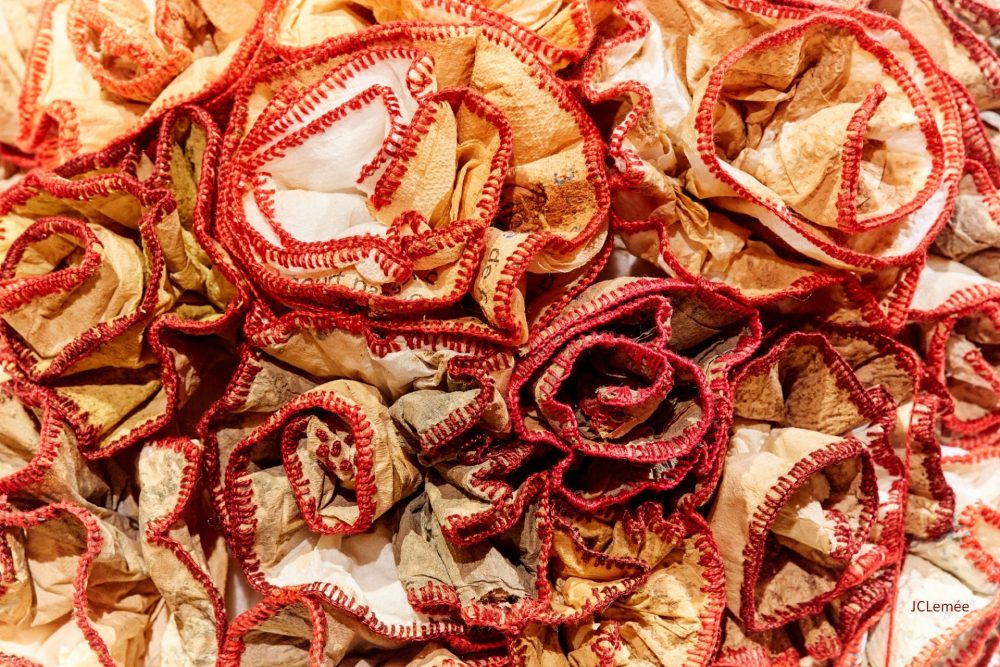 Sofie Vinet - Madame Filosa - La Perruque