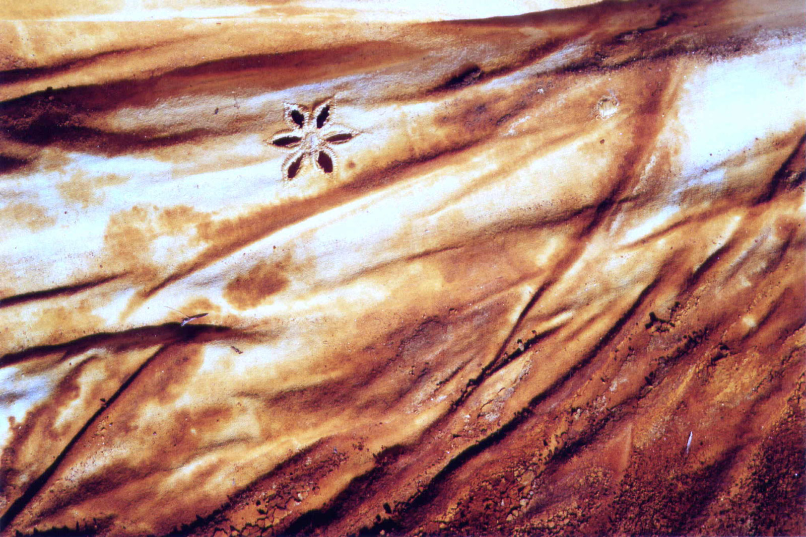 Sofie Vinet - fil rouge au sol