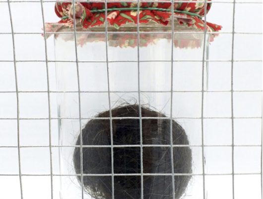 Sofie Vinet - Madame Filosa - Les Pelotes Confinées 3