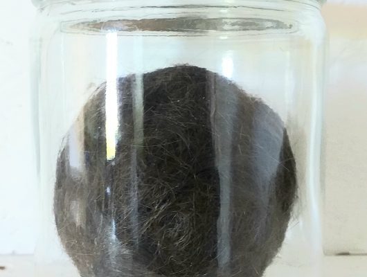 Sofie Vinet - Madame Filosa - Les Pelotes Confinées