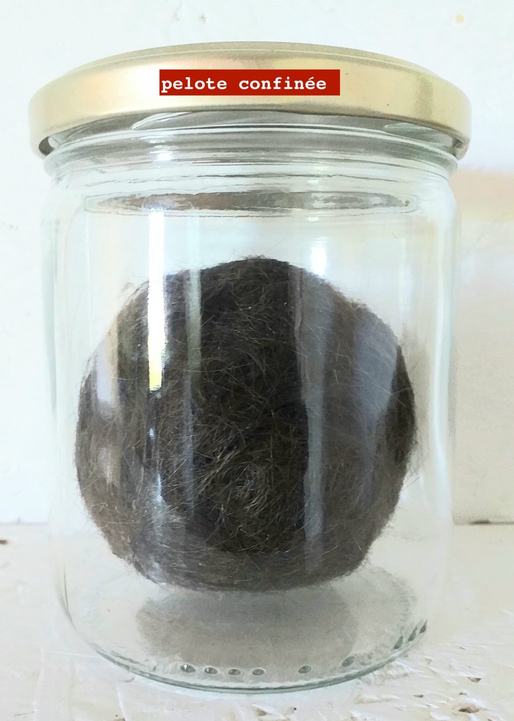 Sofie Vinet - Madame Filosa - Les Pelotes Confinées