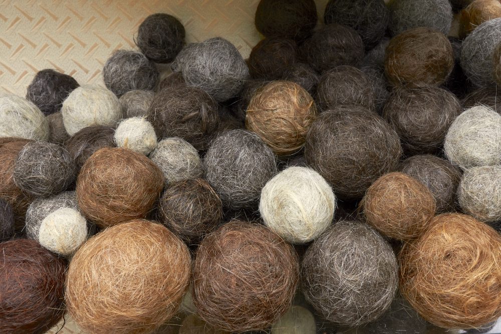 Sofie Vinet - Madame Filosa - Vitrine aux Pelotes