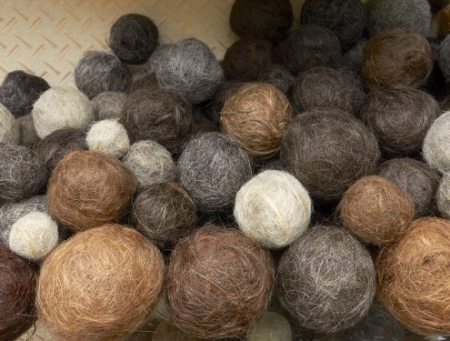 Sofie Vinet - Madame Filosa - Vitrine aux Pelotes