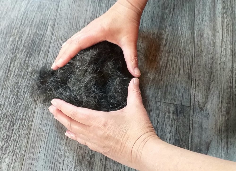 Sofie Vinet - Madame Filosa - formation pelote