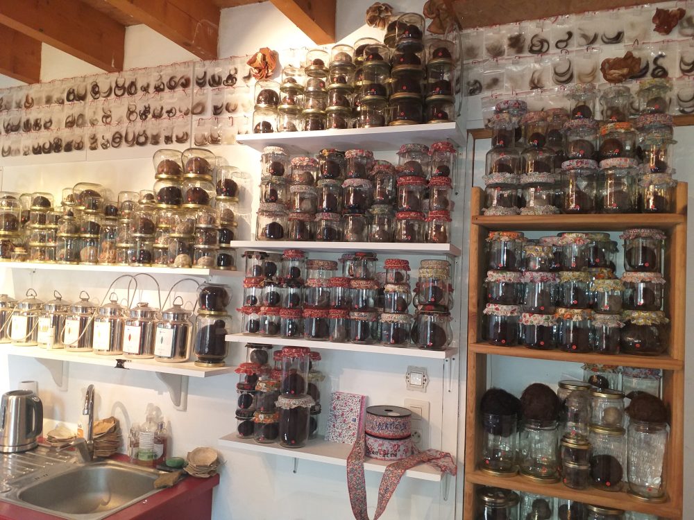 Sofie Vinet - Madame Filosa - Les Pelotes Confinées 2 - atelier