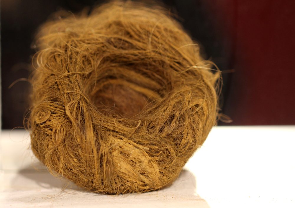 Sofie Vinet - Madame Filosa - Nid cheveux, herbe et argile