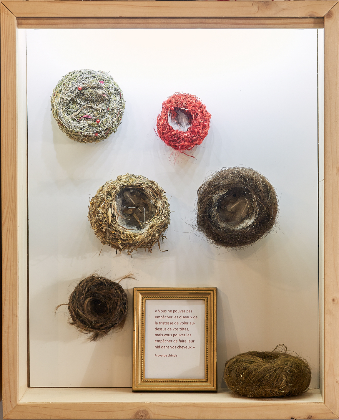 Sofie Vinet - Madame Filosa - vitrine Les Nids