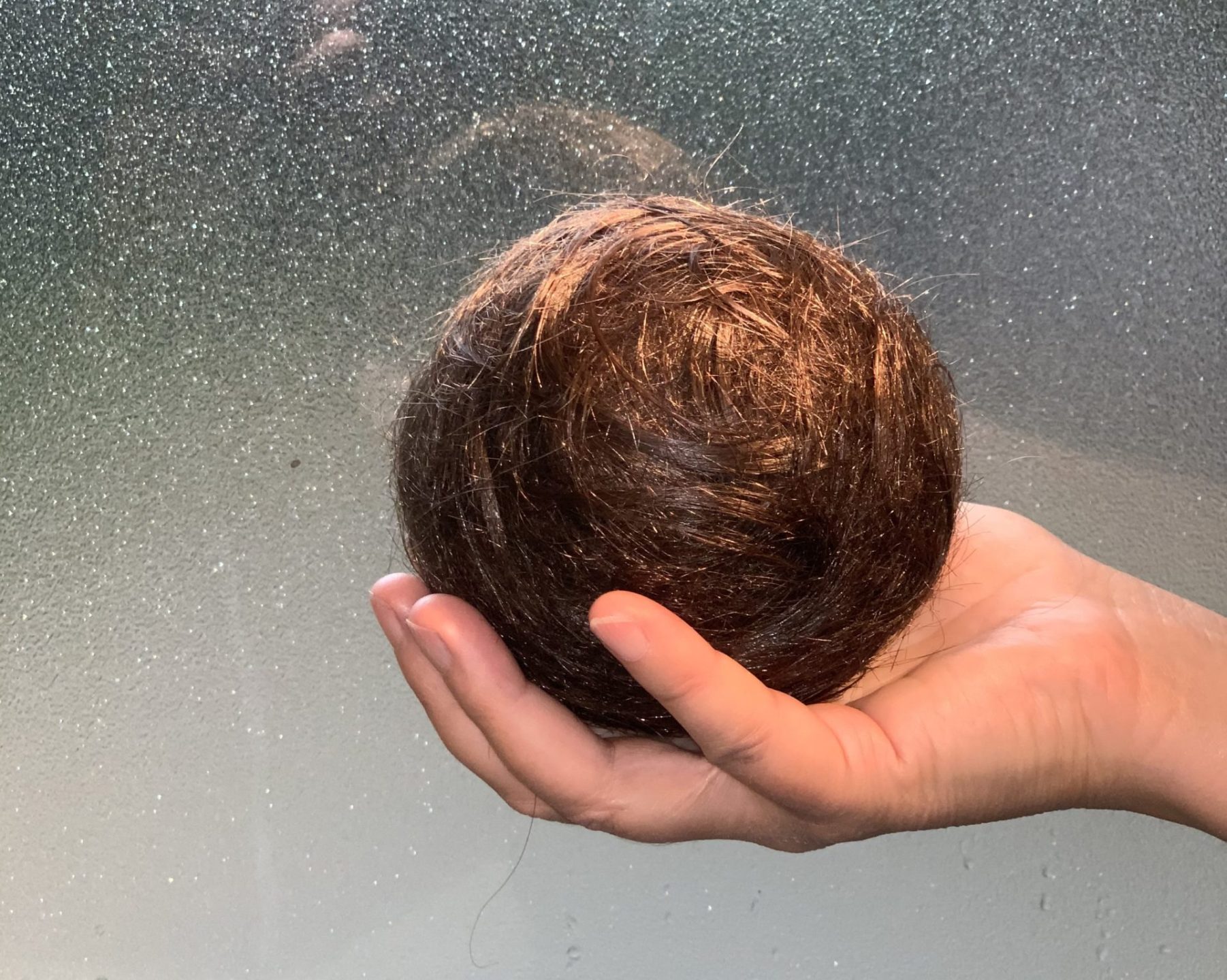 Sofie Vinet - Madame Filosa - pelote