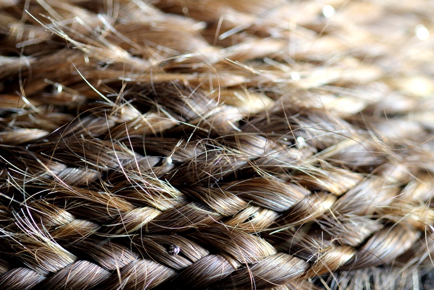 Sofie Vinet - Madame Filosa - Le Bonnet - détail
