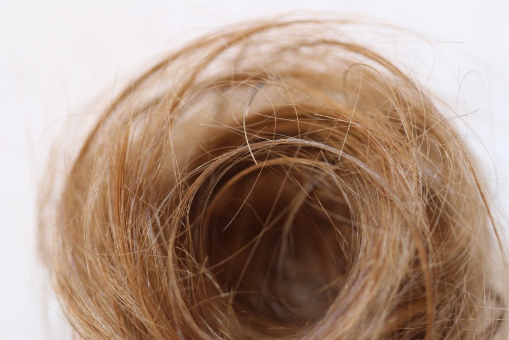 Sofie Vinet - Madame Filosa - Nid de Cheveux