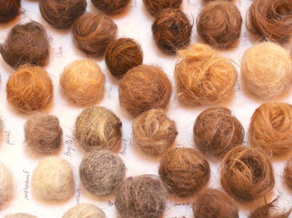 Sofie Vinet - Madame Filosa - Nids Nominés - atelier