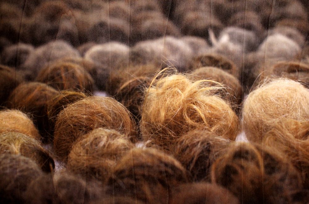 Sofie Vinet - Madame Filosa - Les Nids - impression sur bois