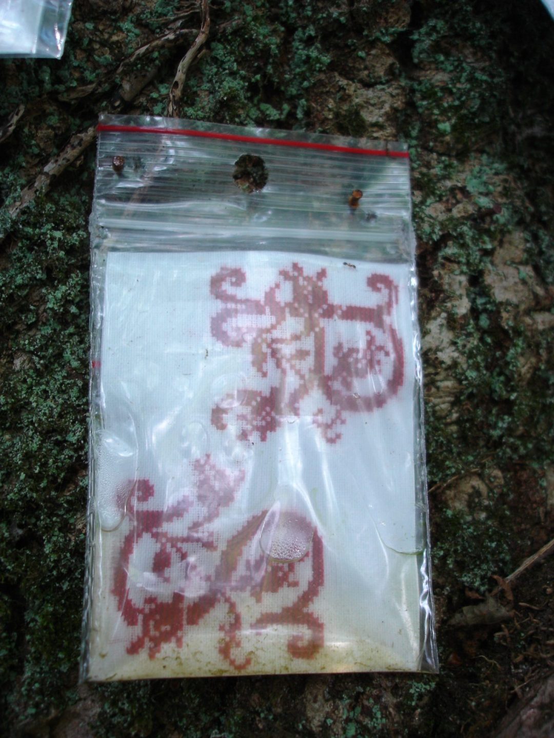 Sofie Vinet - Brodeuse écriveuse - Initiales sur le Parcours