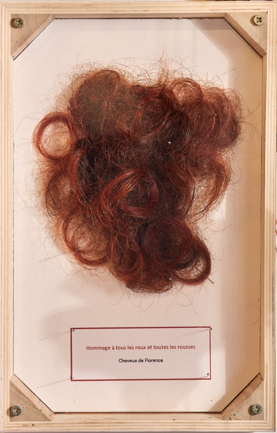 Sofie Vinet - Madame Filosa - La Cabane - Vitrine aux Cheveux Roux - Niort (79)