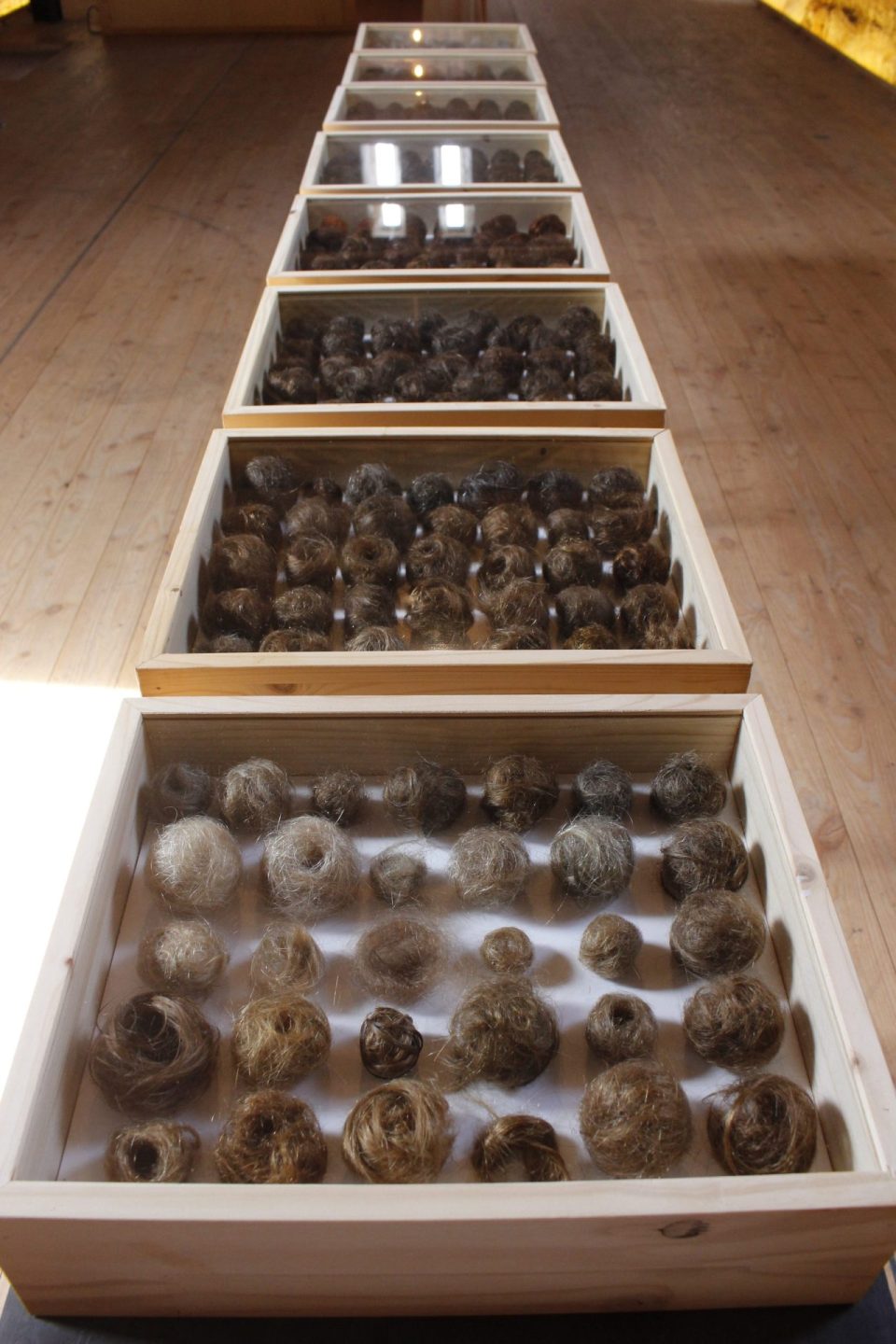 Sofie Vinet - Madame Filosa - Les Nids - installation L'enclos - Nozay (44)