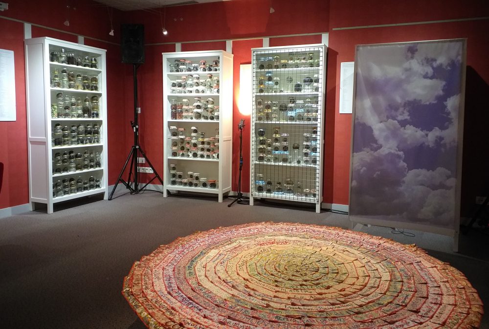 Sofie Vinet - Madame Filosa - Les Pelotes Confinées 3 - exposition à Nozay (44)