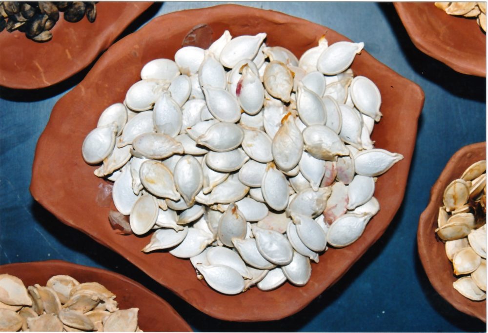 Sofie Vinet - Fille de la terre - Hommage au Jardinier - offrande