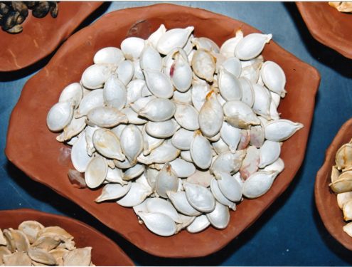 Sofie Vinet - Fille de la terre - Hommage au Jardinier - offrande
