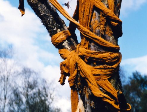 Sofie Vinet - Fille de la terre - Oripeaux