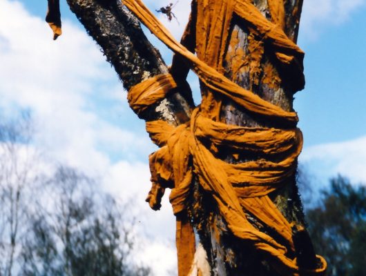 Sofie Vinet - Fille de la terre - Oripeaux