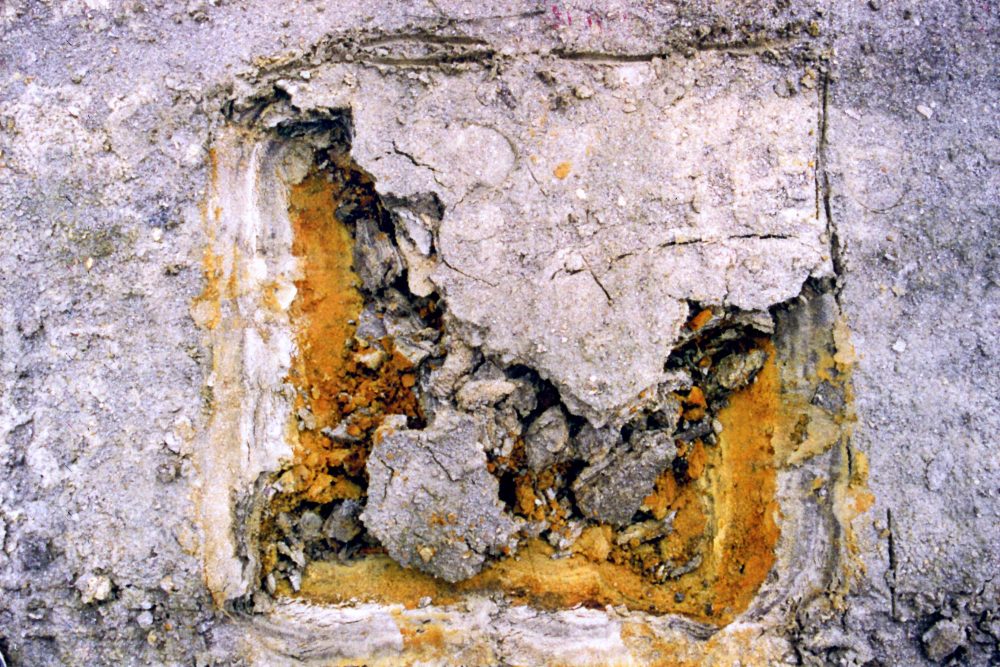 Sofie Vinet - Fille de la terre - Travail et Processus