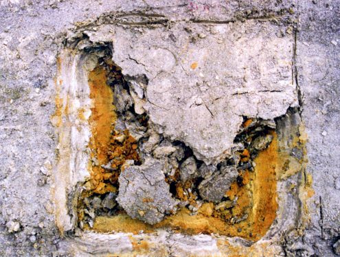 Sofie Vinet - Fille de la terre - Travail et Processus