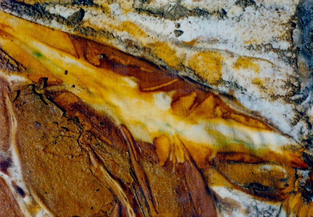 Sofie Vinet - Histoires de Femmes - Traverse