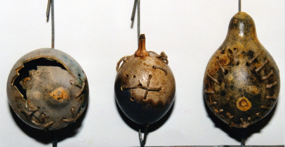 Sofie Vinet - Fille de la terre - Hommage au Jardinier - œufs, courges raccommodés