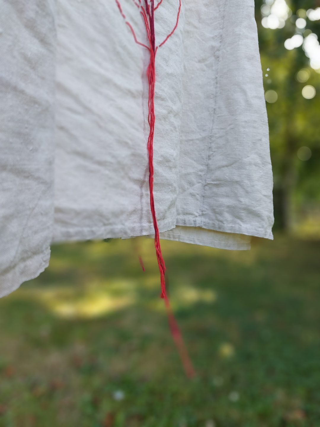 Sofie Vinet - Histoires de Femmes - EXcision - Robe - Ce qui saigne