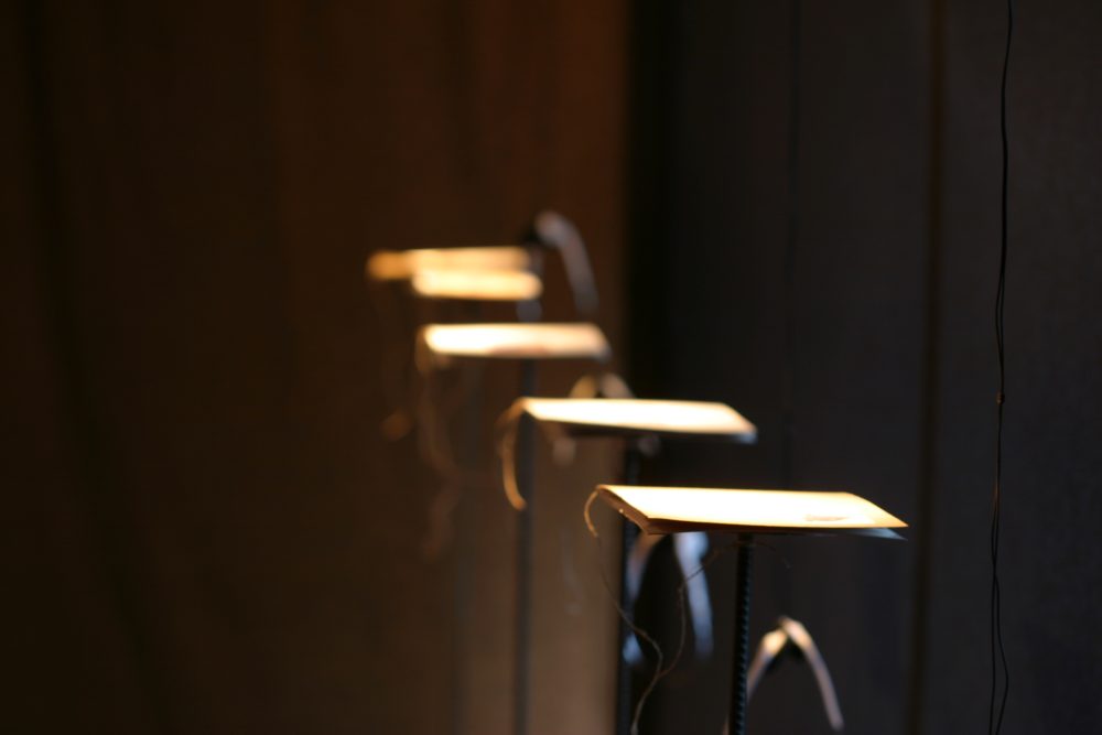 Sofie Vinet - Histoires de Femmes - La Jeune Fille et la Robe - Les Carnets au Lavoir à Les Herbiers - 2007