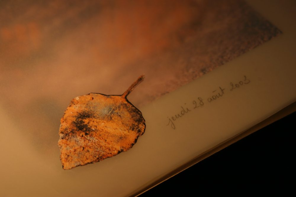 Sofie Vinet - Histoires de Femmes - La Jeune Fille et la Robe - Carnet en détail