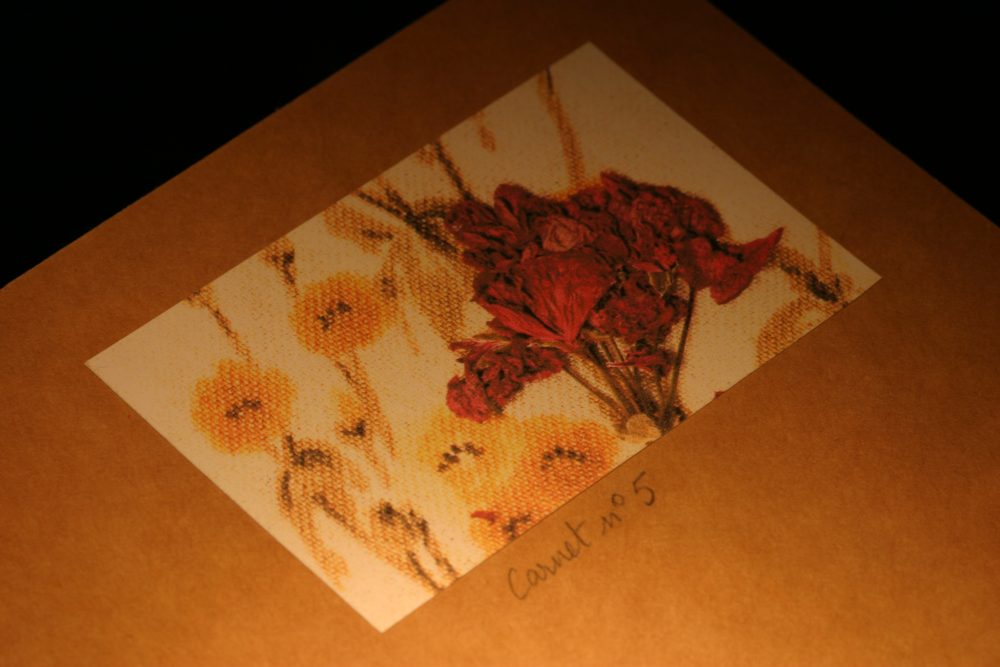 Sofie Vinet - Histoires de Femmes - La Jeune Fille et la Robe - Carnet N°5 en détail