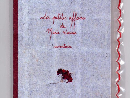 Sofie Vinet - Histoires de Femmes - Les Petites Affaires de Marie Louise - livre