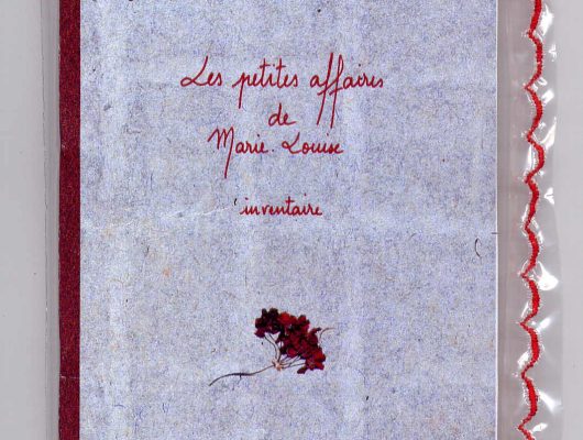 Sofie Vinet - Histoires de Femmes - Les Petites Affaires de Marie Louise - livre