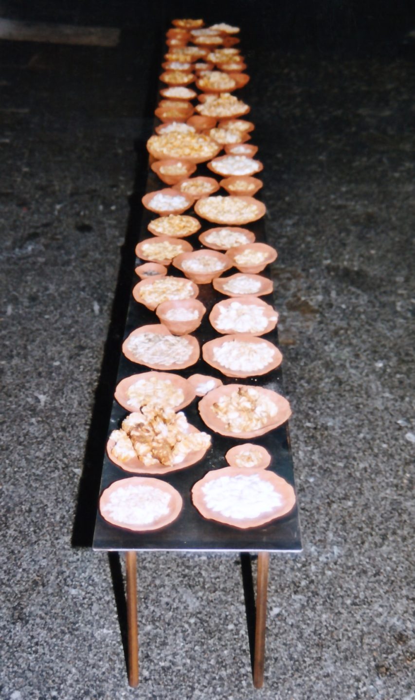 Sofie Vinet - Fille de la terre - Hommage au Jardinier - offrande de pépins de courges à Nantes (44)