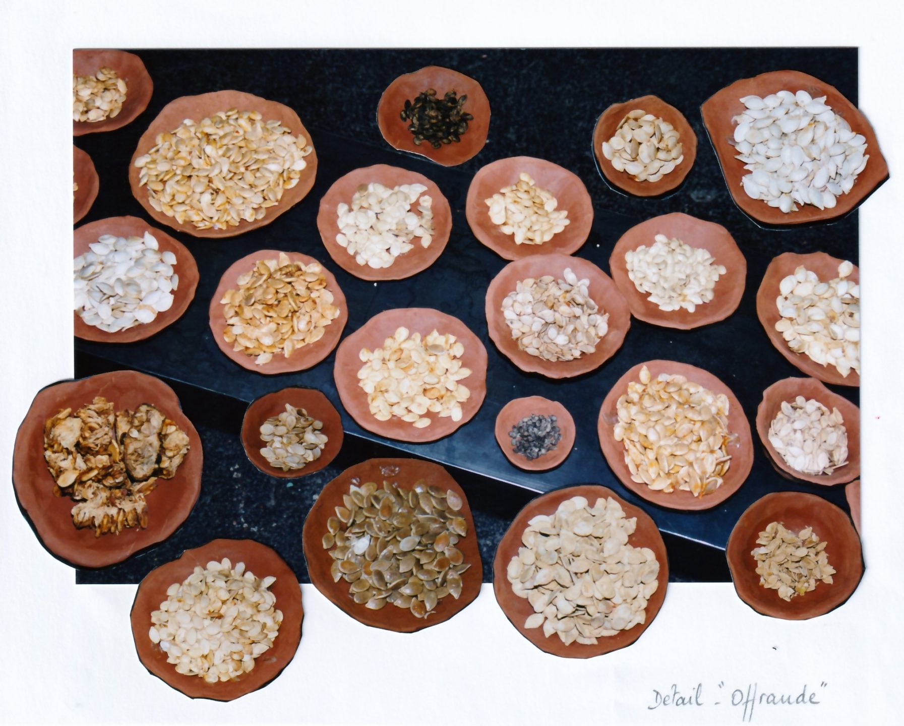 Sofie Vinet - Fille de la terre - Hommage au Jardinier - offrande en détail