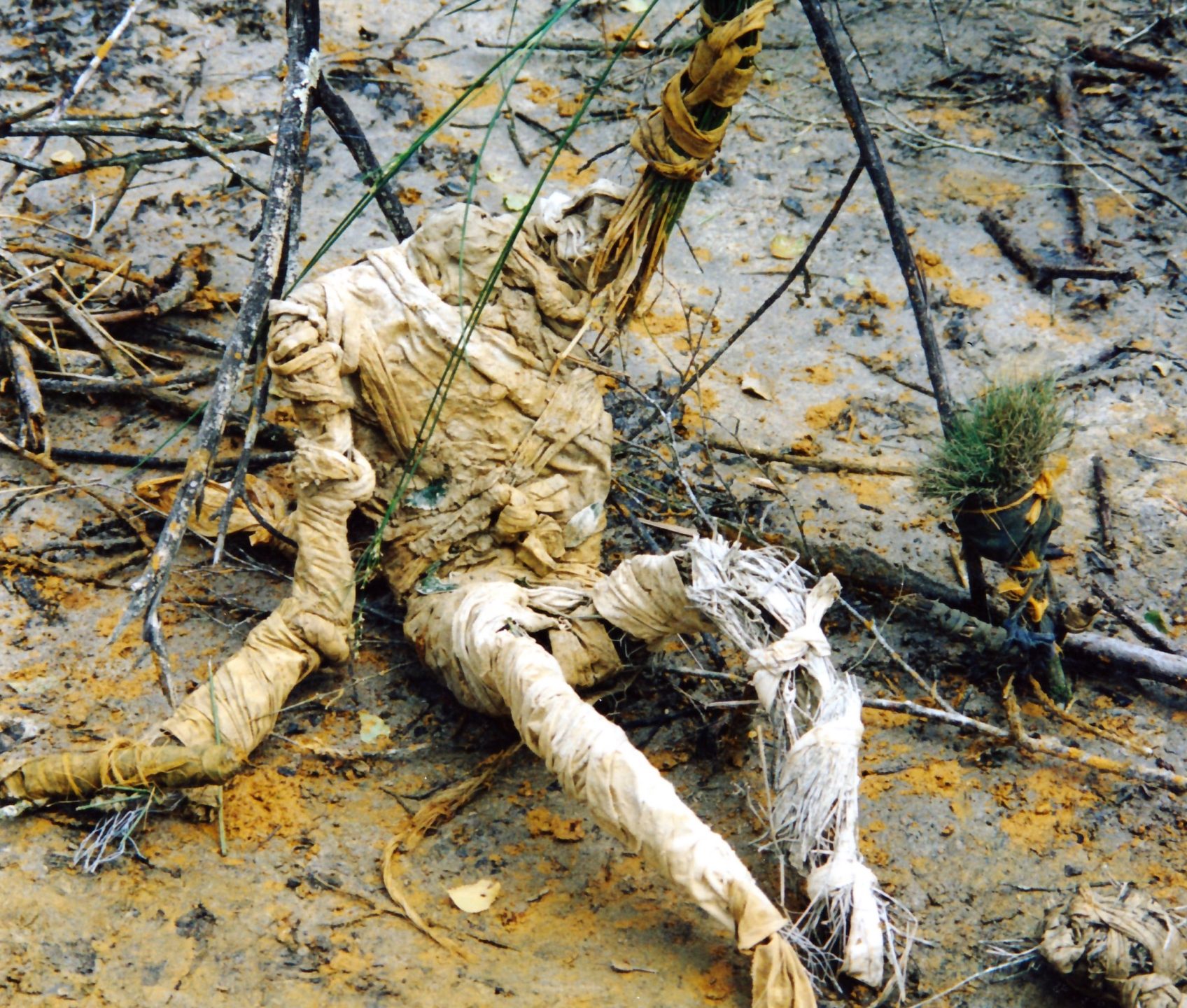 Sofie Vinet - Fille de la terre - Oripeaux - l'être