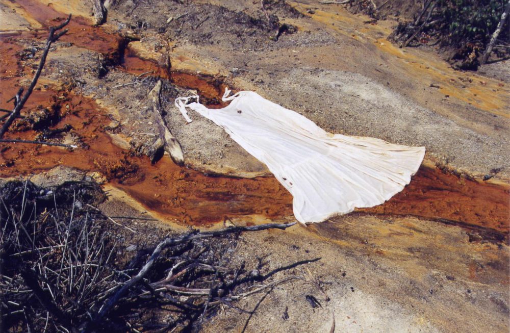 Sofie Vinet - Histoires de Femmes - La Jeune Fille et la Robe - Robe à Abbaretz (44)