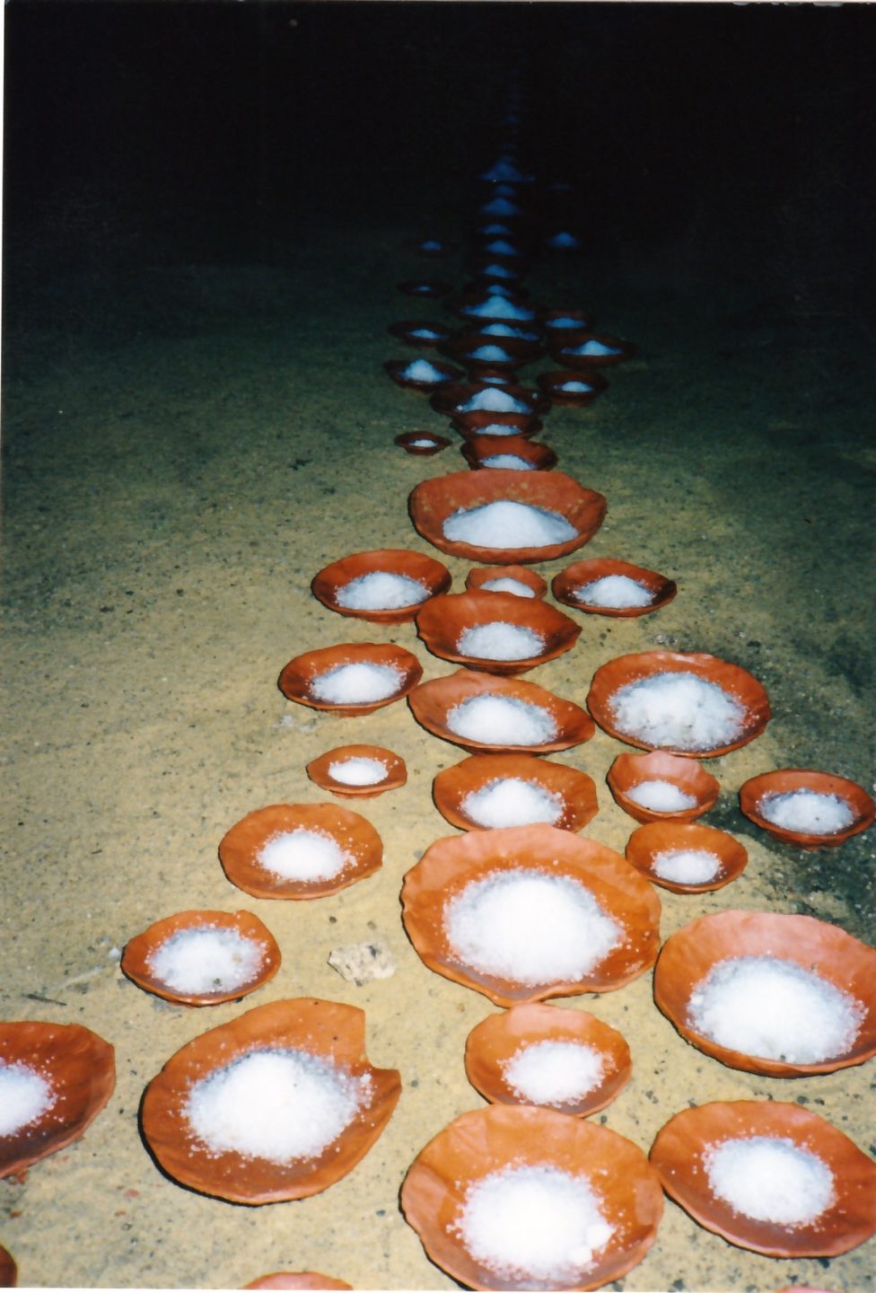 Sofie Vinet - Fille de la terre - Hommage au Jardinier - offrande sel - La Flocellière (85)
