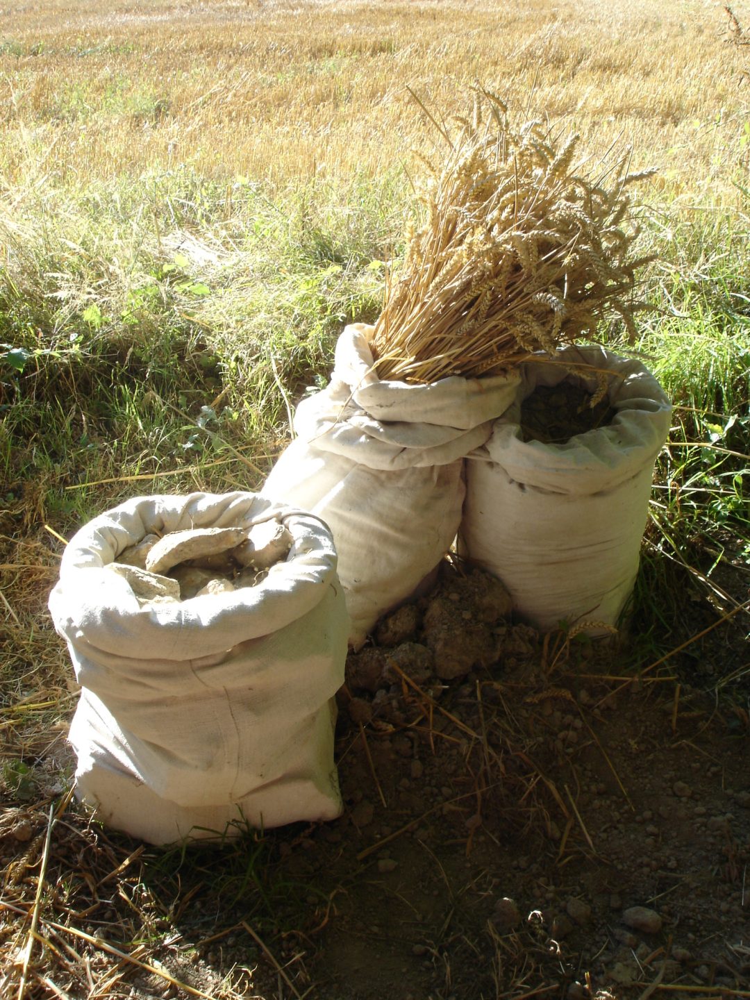Sofie Vinet - Fille de la terre - Hommage au Paysan - les trois sacs
