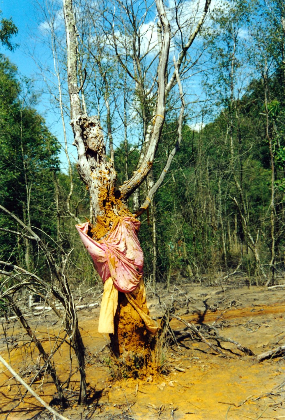 Sofie Vinet - Fille de la terre - Oripeaux - Gallia