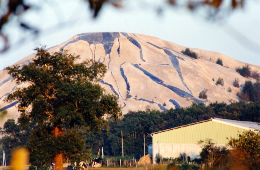 Sofie Vinet - Fille de la terre - Le Terril - vue du bois vert