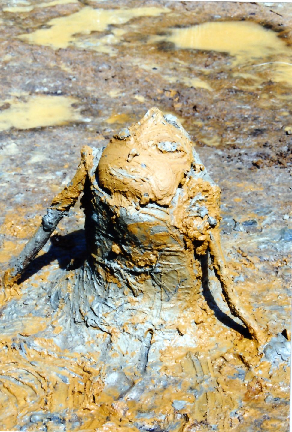 Sofie Vinet - Fille de la terre - Oripeaux - Gontran