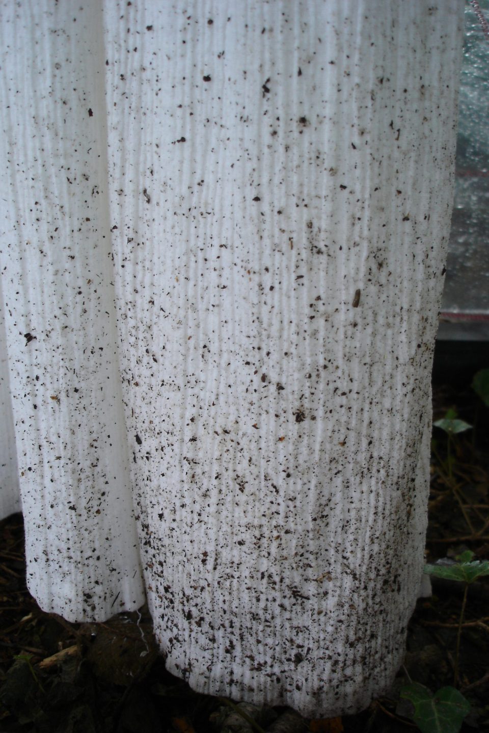 Sofie Vinet - Histoires de Femmes - L'Armoire aux Trois Robes - Bas de la robe - Notre-Dame-des-Landes